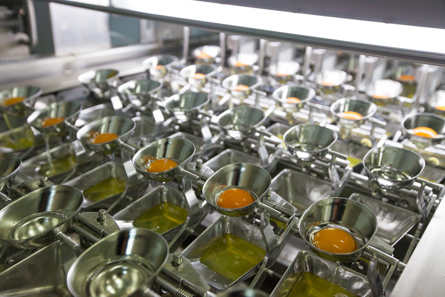 Εγκαταστάσεις