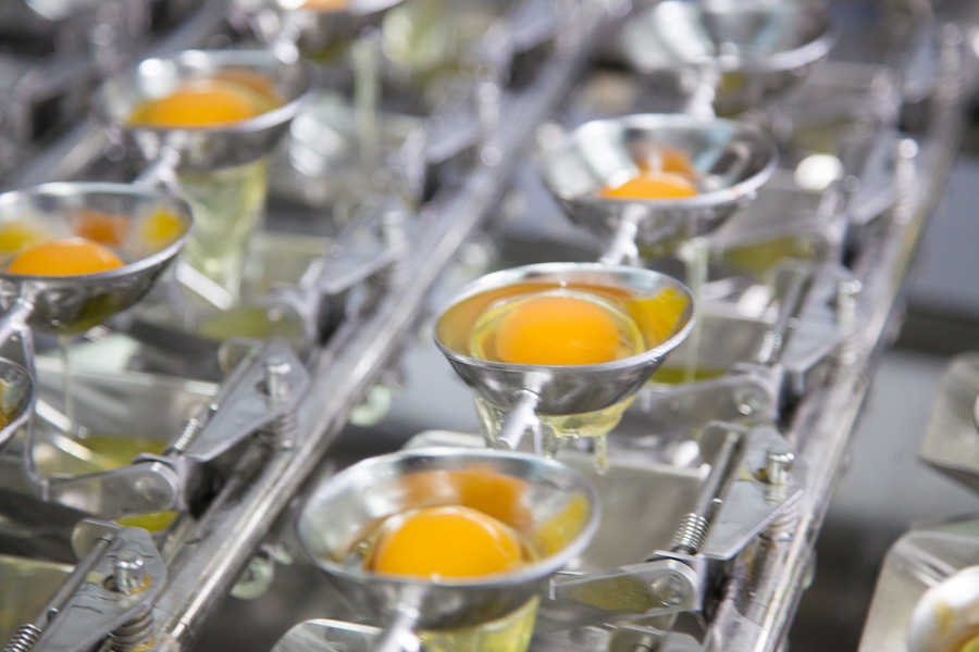 Εγκαταστάσεις